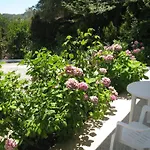 Bellina * Agia Paraskevi (Skiathos)