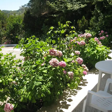 Bellina * Agia Paraskevi (Skiathos)