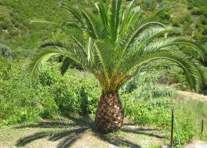 Appartamento Bellina